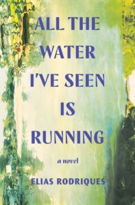 elias rodriques_all the water i've seen is running