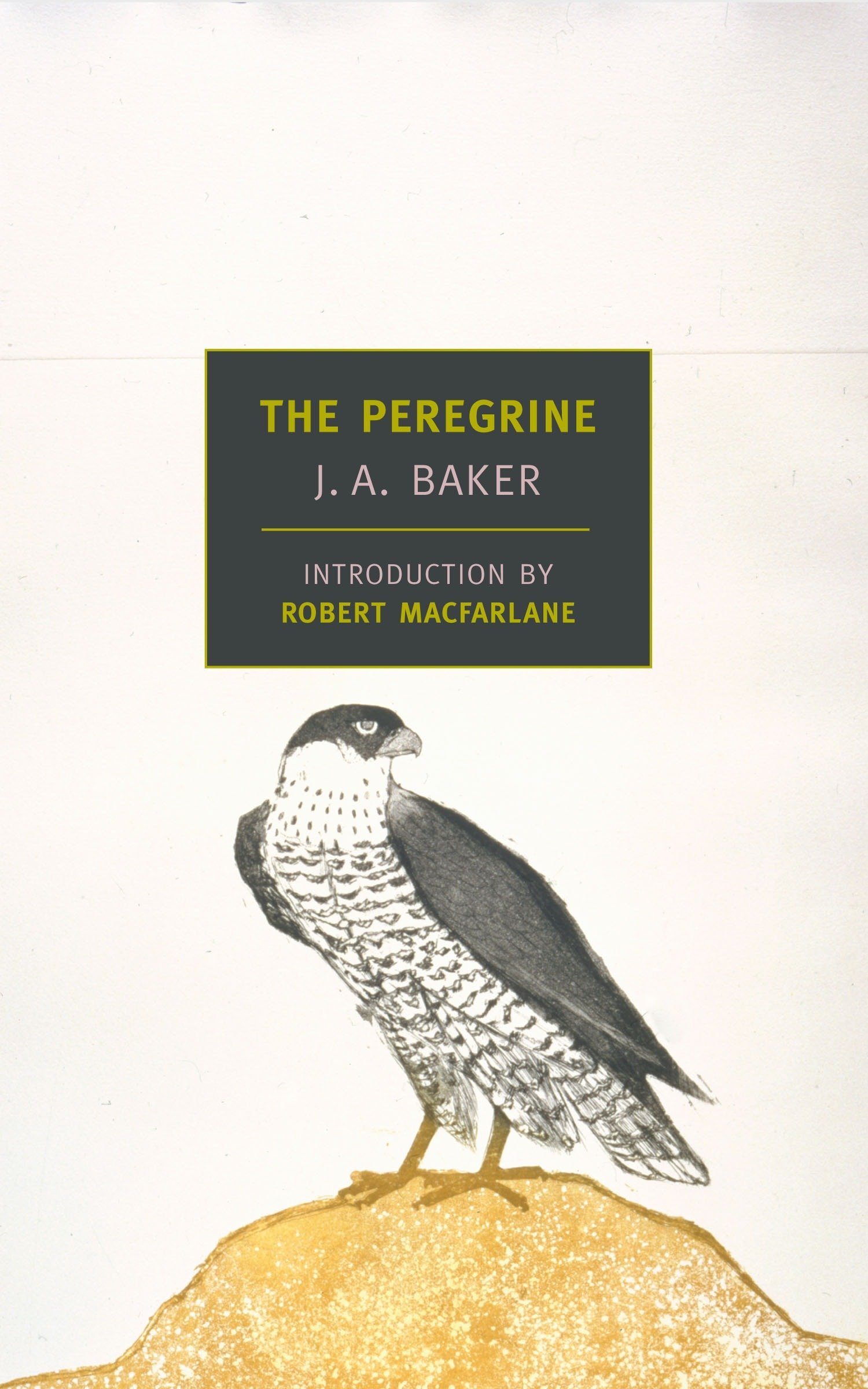 The Peregrine, JA Baker