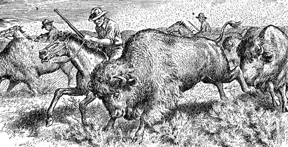 Every Buffalo You Can!” On the Cruelties of Colonial Power ‹ Literary Hub