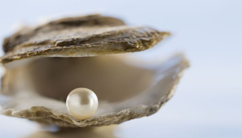 Largest pearl found in on sale oyster