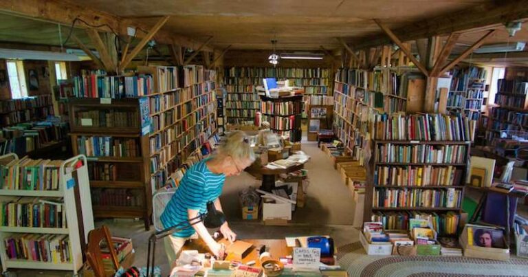 Want to be a bookseller? This chicken-coop-turned-bookstore is up for grabs.