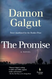 Damon Galgut, The Promise