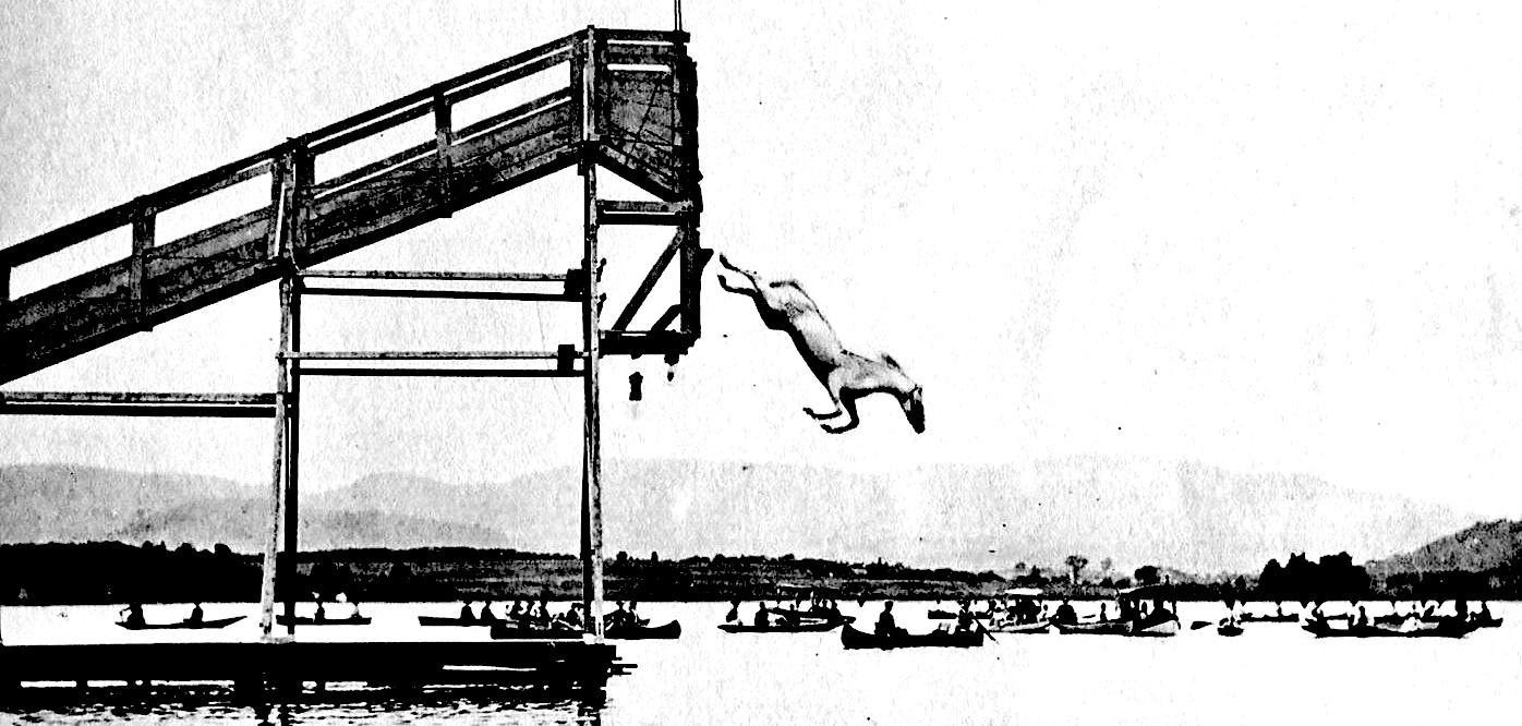 How One Unexpected Phone Call Led to the Rescue of the Last Diving