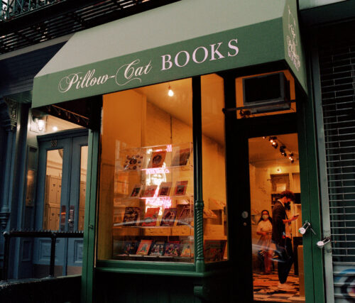 Pillow-Cat Books, NYC's First Animal-Centric Bookshop, Opens in the East  Village · The Wildest