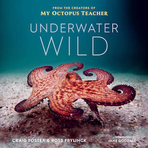 Underwater Wild