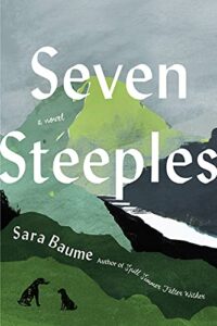 Sara Baume, Seven Steeples