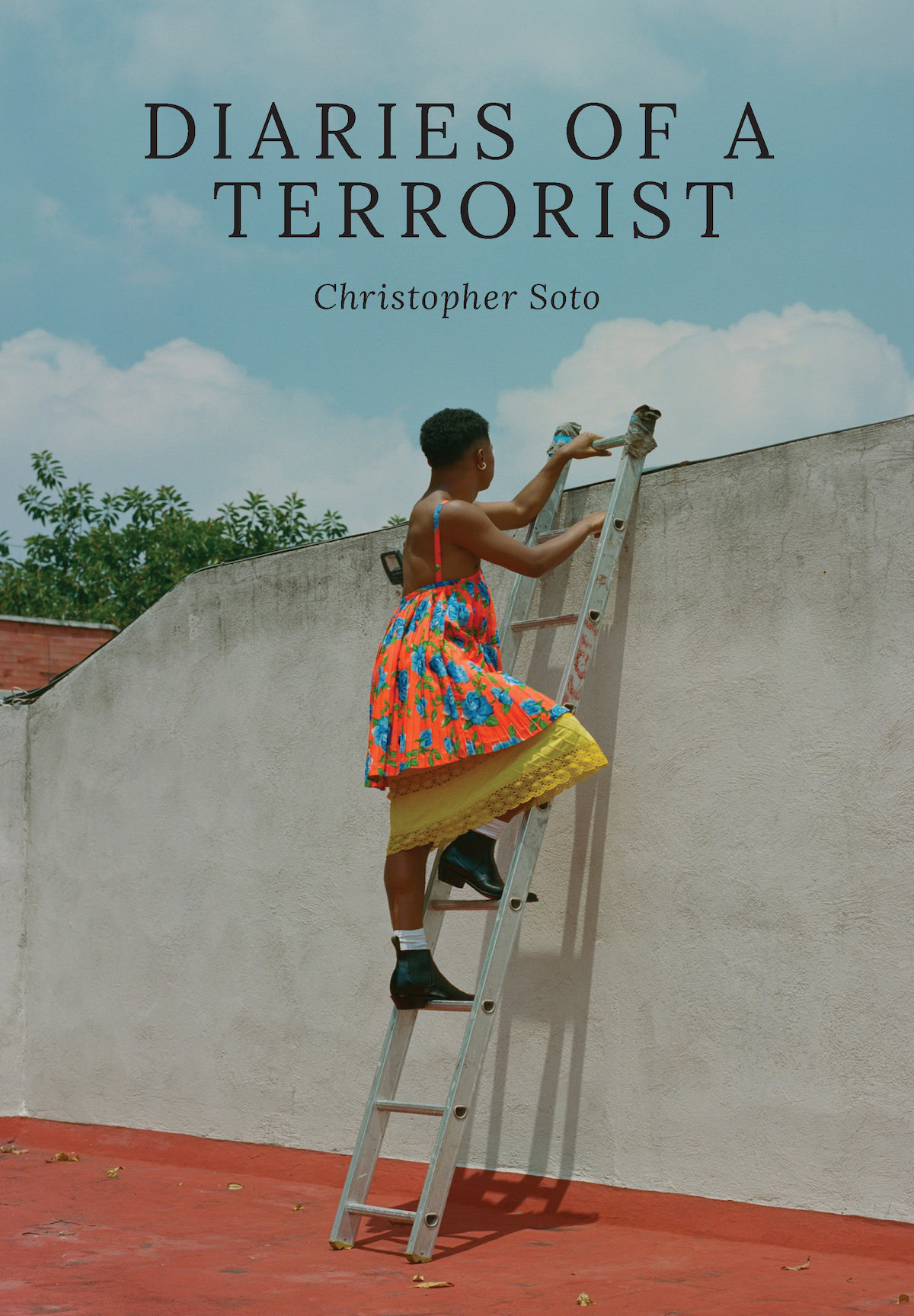 diaries of a terrorist