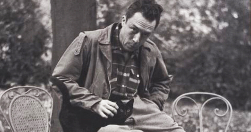 This is just a reminder that Albert Camus named his cat Cigarette