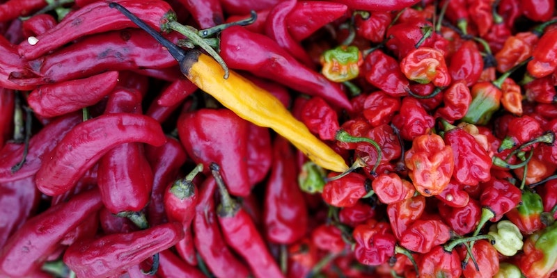 https://s26162.pcdn.co/wp-content/uploads/2022/01/hot-peppers.jpeg