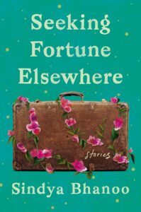 seeking fortune elsewhere_Sindya Bhanoo