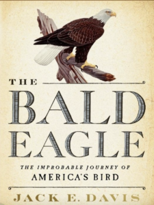 the bald eagle_jack e davis