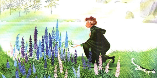 lupines, flowers, children's book