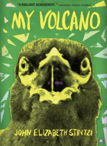 John Elizabeth Stintzi, My Volcano