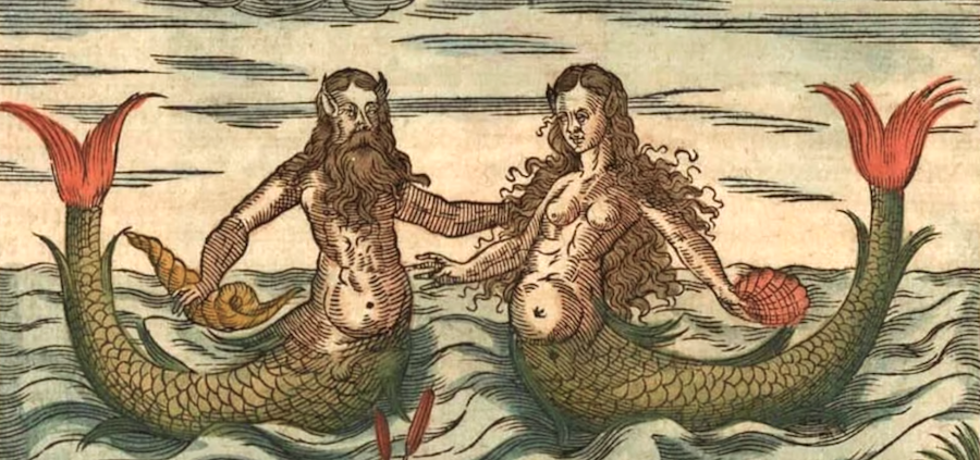 The Mermaid, C'est Moi: Rewriting the Story of a Universal Myth ‹ Literary  Hub