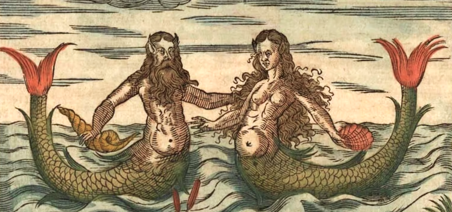 What Is A Mermaid Bra Called? And Other Important Mermaid Words – K.M.  Robinson, Author Blog