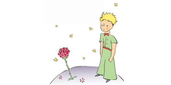 The Little Prince, rose