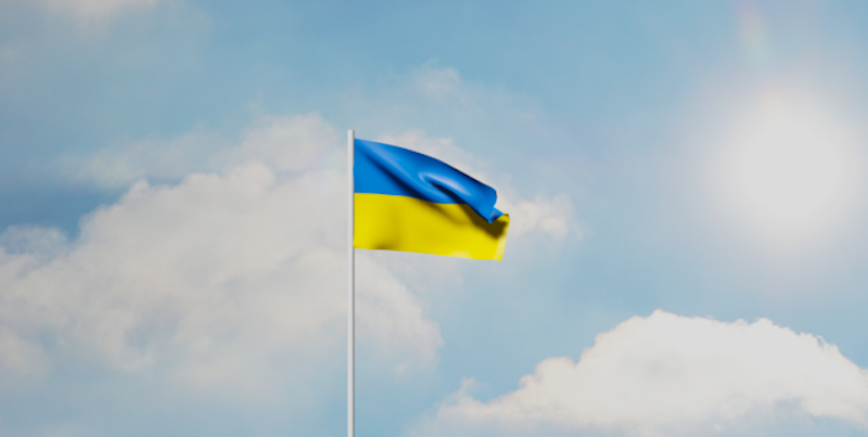 Ukraine Flag