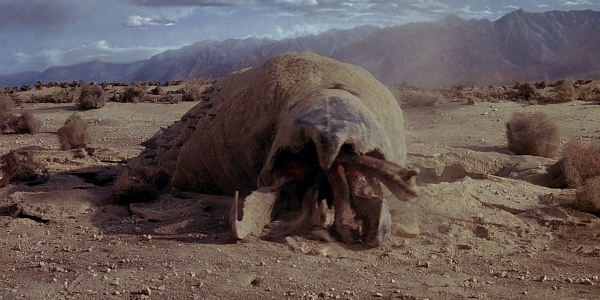 graboid