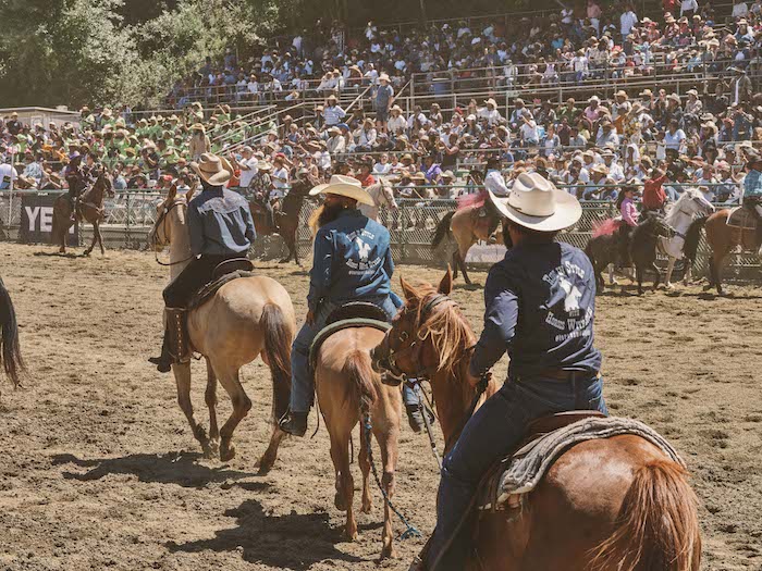 Cowboy  History, American West, Rodeo, Trail Riding, Herding