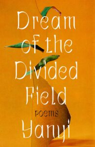 Yanyi_Dream of the divided field