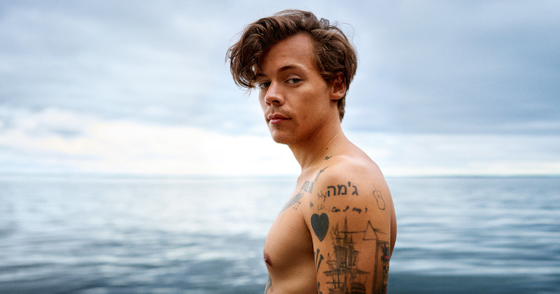 Harry Styles Gets Naked In The Steamy First Trailer For My Policeman Literary Hub