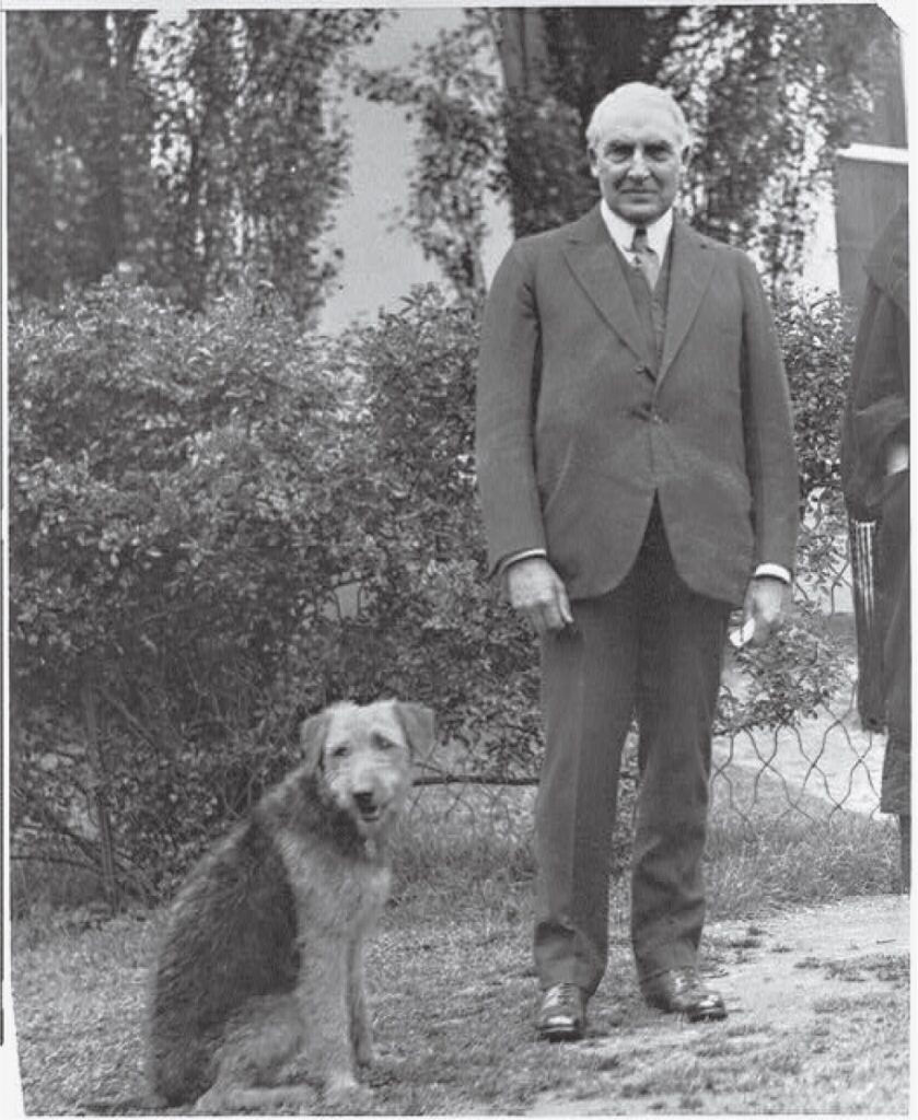 Photo of President Warren Harding at White House with Pet Dog Laddie 