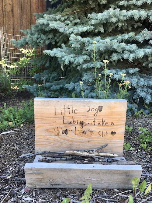 little free dog library