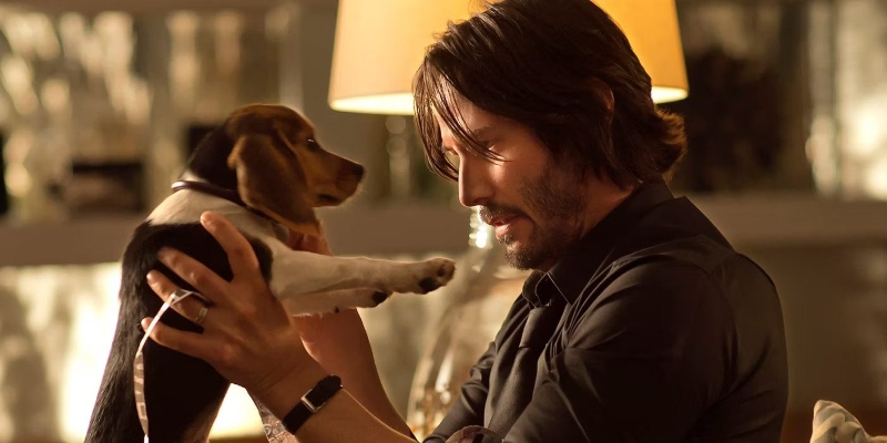 The movie John Wick 2. John wears a dirty white shirt. This is because all  his clothes and his washer were burned up when they blew up his house. His  dog is