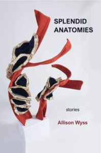 splendid anatomies