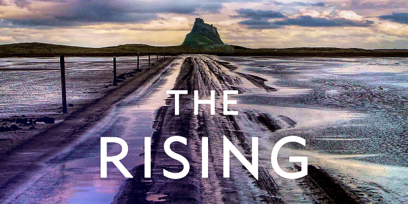 The Rising Tide - (Vera Stanhope) by Ann Cleeves (Hardcover)