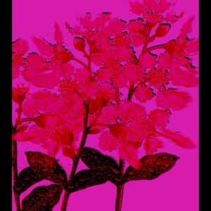 Blood Red
