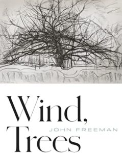 john freeman_wind, trees