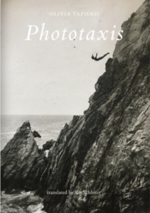 Phototaxis