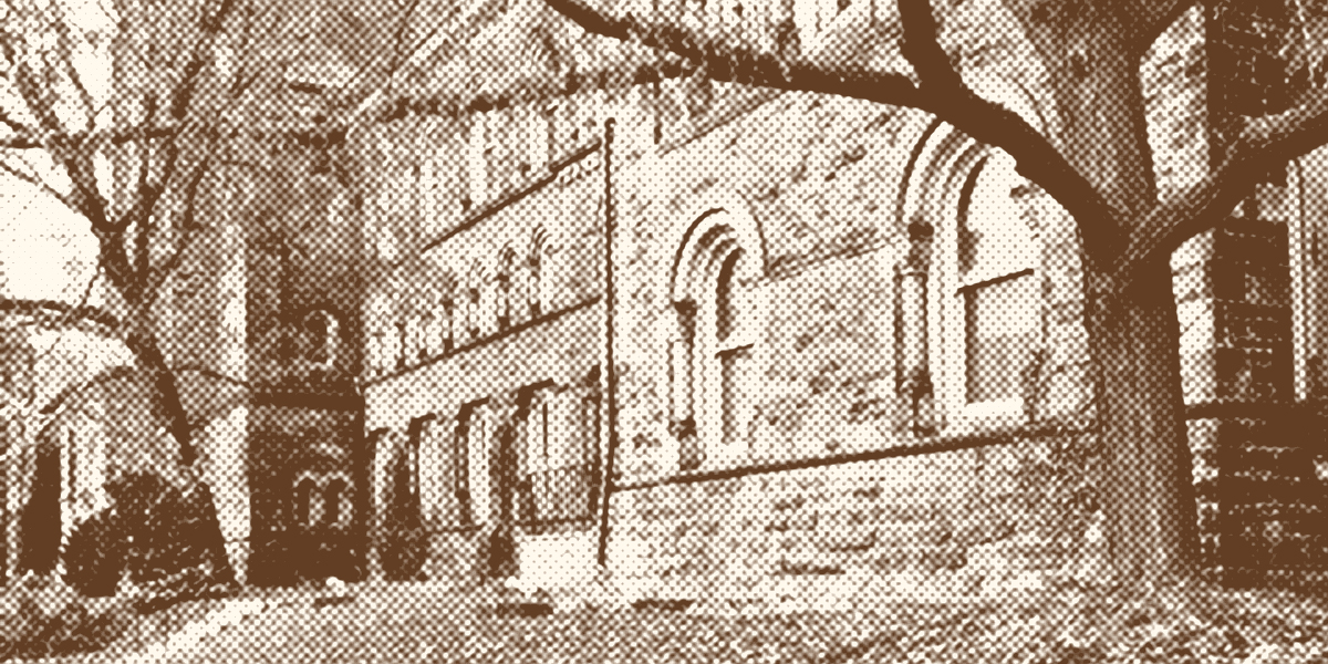 The 65 Best Campus Novels from the Last 100 Years