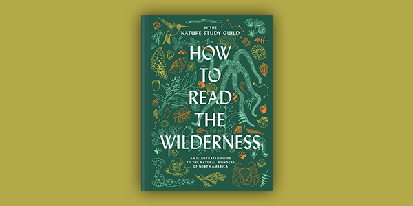 how to read the wilderness