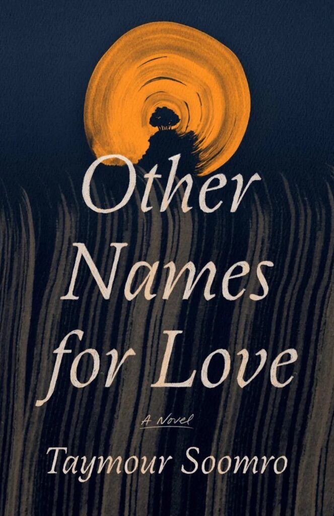 Taymour Soomro, <em><a href="https://bookshop.org/a/132/9780374604646" rel="noopener" target="_blank">Other Names for Love</a></em>, design by June Park (FSG, July 12) 