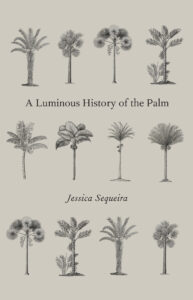 a luminous history of the palm