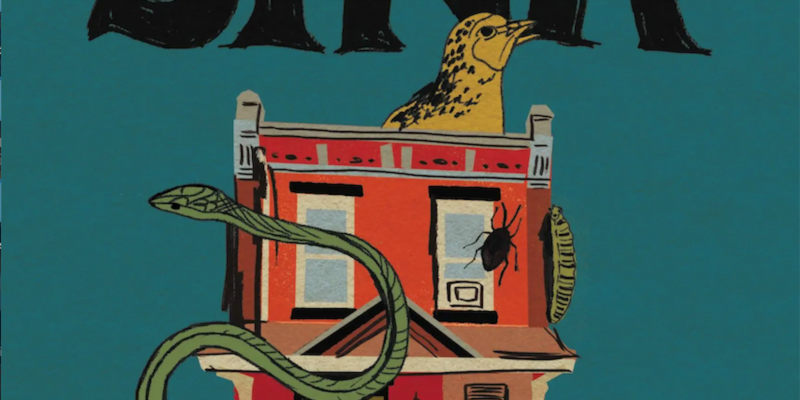 5 Book Reviews You Need to Read This Week
