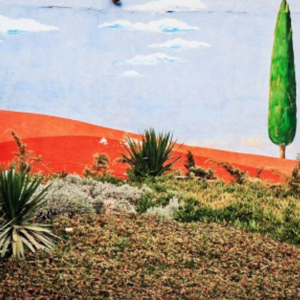 Finding Microjoys Between the Shadows of Grief and Loss