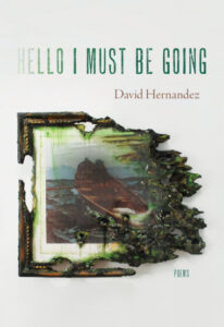 David-Hernandez_Hello-I-must-be-going