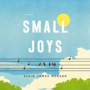 small joys audiobook