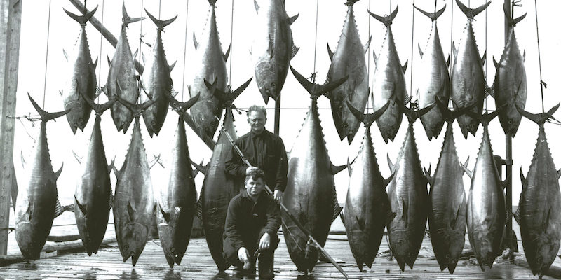 A Transformative Moment in the History of Fishing: On Catching the