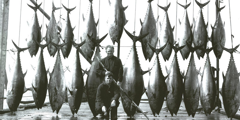 6 year-old catches prize winning fish