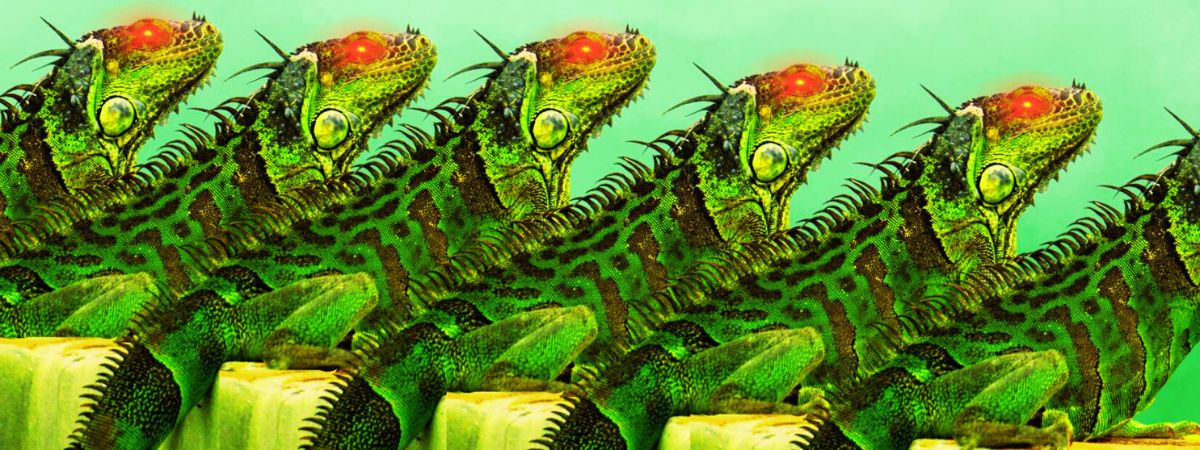 freedom from reptilian mind control