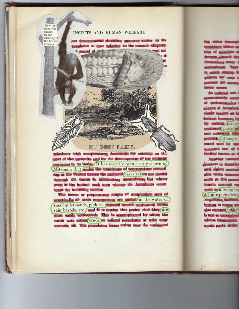 The Old Becomes the New: Lawrence Sutin on the Art of Transforming Books ‹  Literary Hub