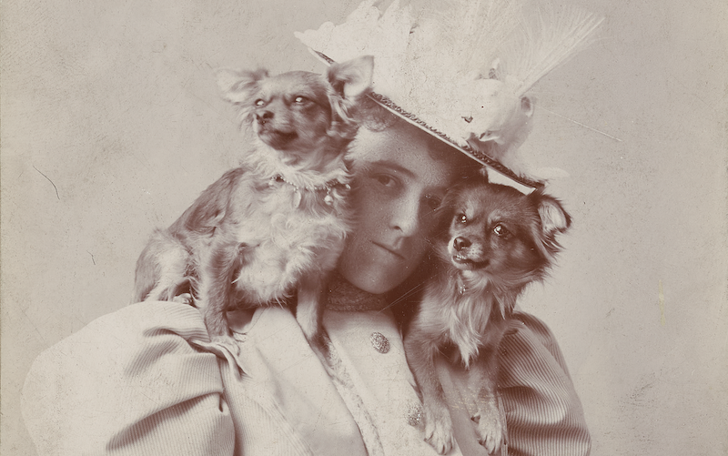 How Famous Writers Mourned the Death of Their Beloved Pets