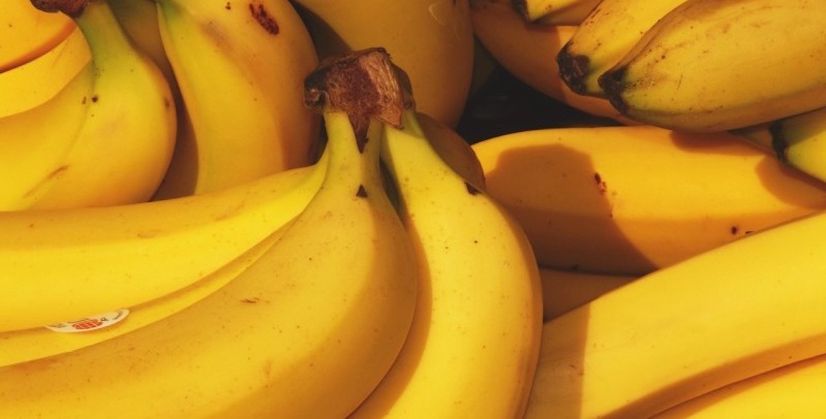 How the Banana Came To Be—And How It Could Disappear