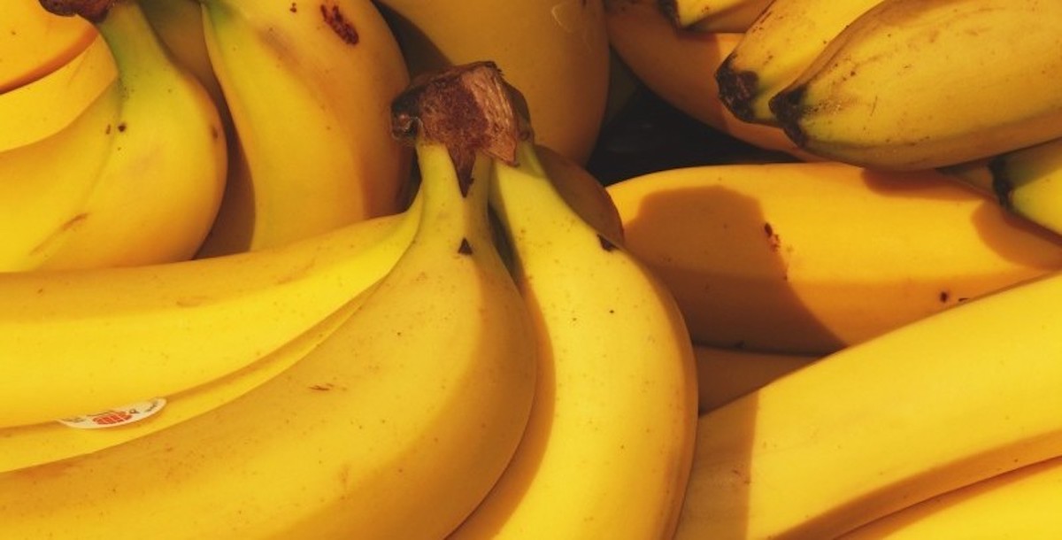 How the Banana Came To Be—And How It Could Disappear ‹ Literary Hub