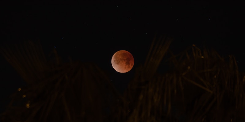 RED MOON menstrual cycle. The moon phase you bleed on can be very telling.