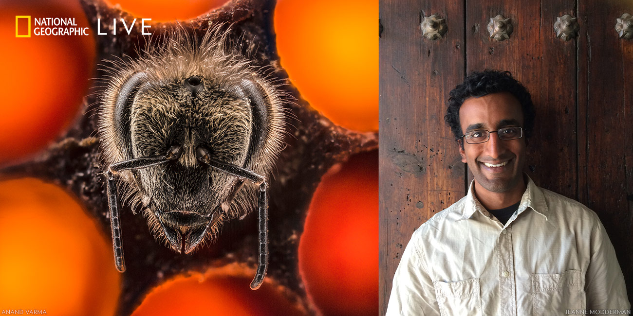 Anand Varma on the World's Invisible Wonders